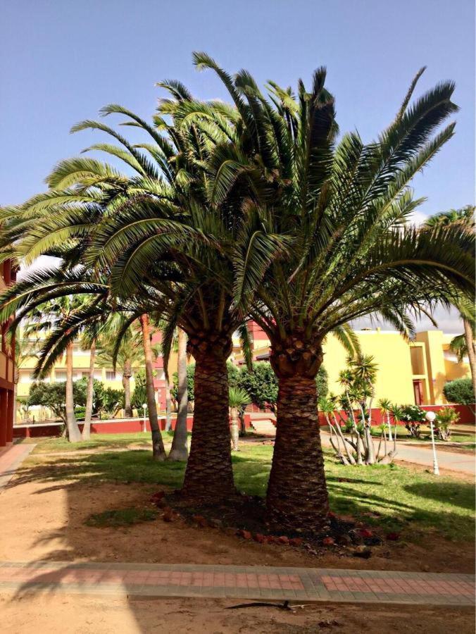 Pax Et Bonum Lägenhet Parque Holandes Exteriör bild